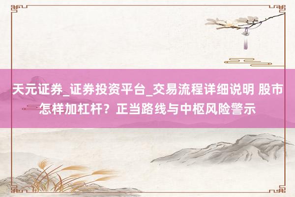 天元证券_证券投资平台_交易流程详细说明 股市怎样加杠杆？正当路线与中枢风险警示