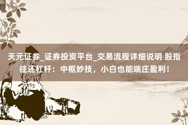 天元证券_证券投资平台_交易流程详细说明 股指往还杠杆：中枢妙技，小白也能端庄盈利！