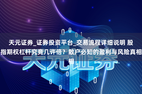 天元证券_证券投资平台_交易流程详细说明 股指期权杠杆究竟几许倍？散户必知的盈利与风险真相