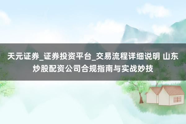 天元证券_证券投资平台_交易流程详细说明 山东炒股配资公司合规指南与实战妙技