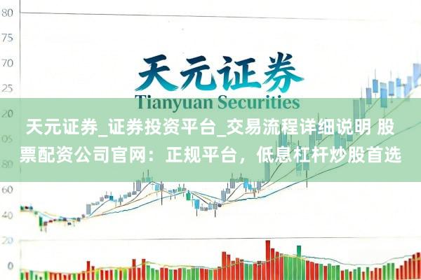 天元证券_证券投资平台_交易流程详细说明 股票配资公司官网:正规平台,低息杠杆炒股首选