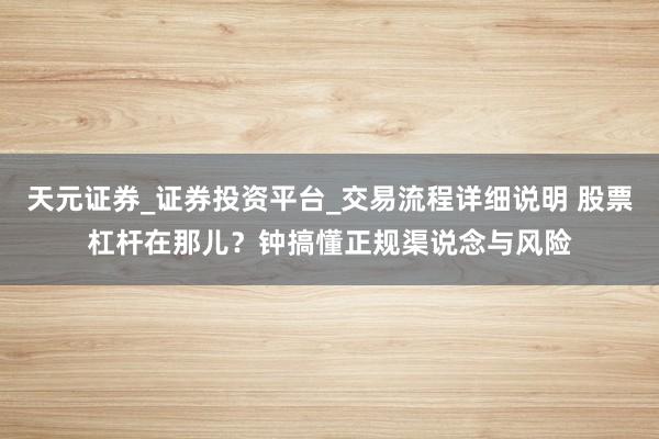天元证券_证券投资平台_交易流程详细说明 股票杠杆在那儿？钟搞懂正规渠说念与风险